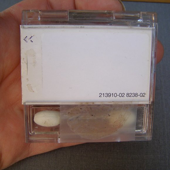 NEW Almay EyeShadow & Primer set - Picture 3 of 5